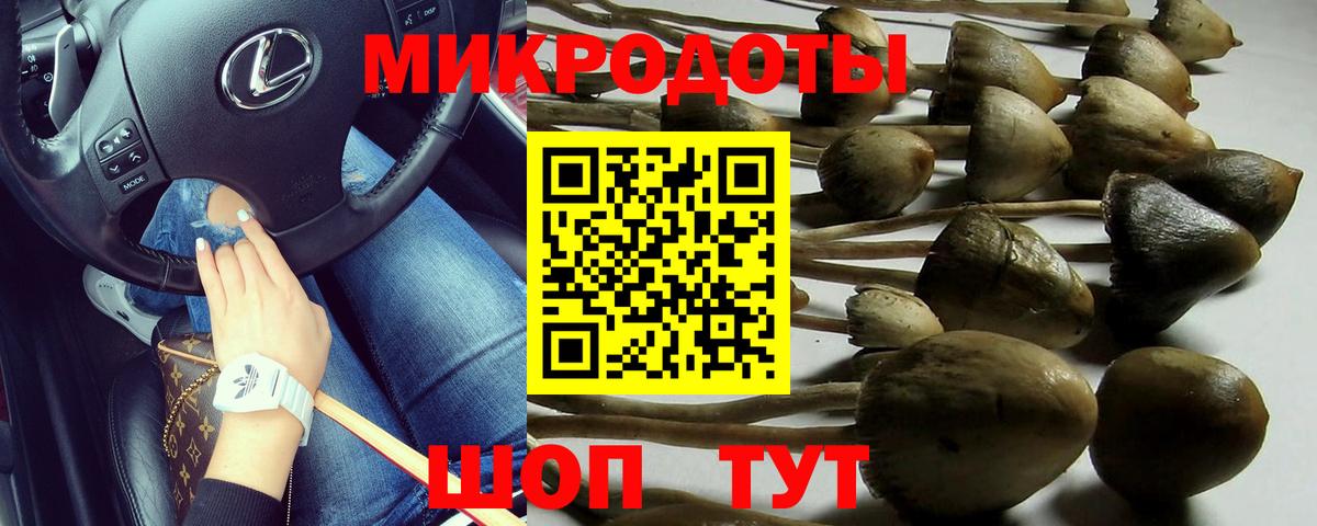 Псилоцибиновые грибы Psilocybine cubensis Аксай